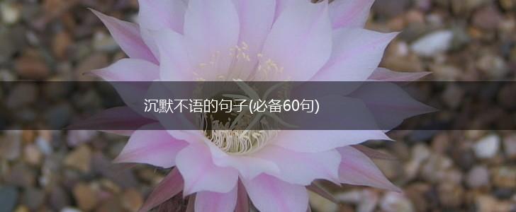 沉默不语的句子(必备60句),第1张