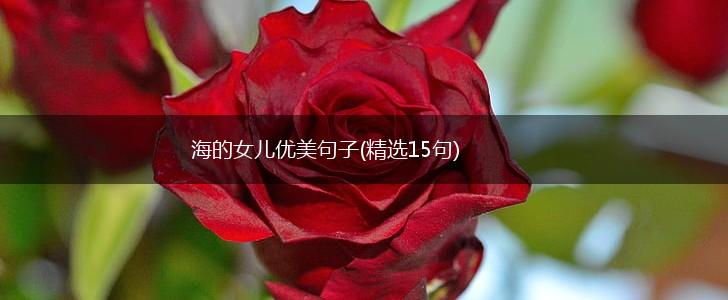 海的女儿优美句子(精选15句),第1张