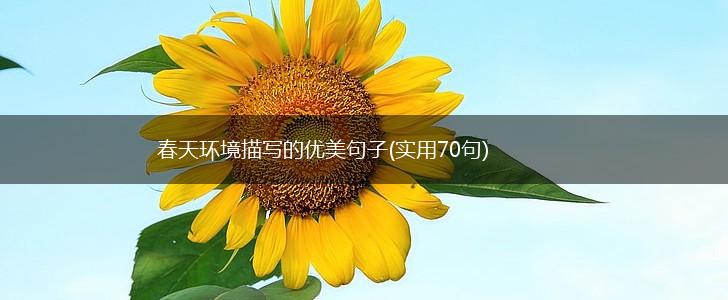 春天环境描写的优美句子(实用70句),第1张