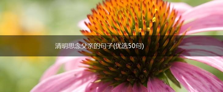 清明思念父亲的句子(优选50句),第1张