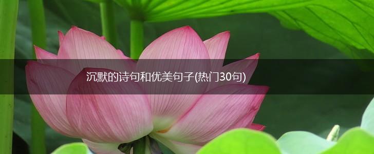 沉默的诗句和优美句子(热门30句),第1张