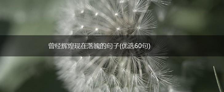 曾经辉煌现在落魄的句子(优选60句),第1张