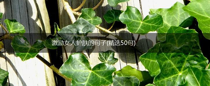 激励女人护肤的句子(精选50句),第1张