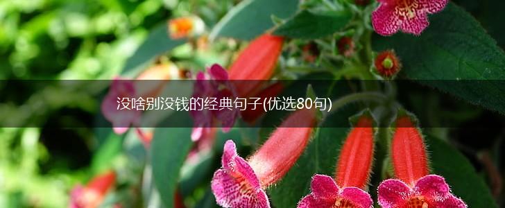 没啥别没钱的经典句子(优选80句),第1张