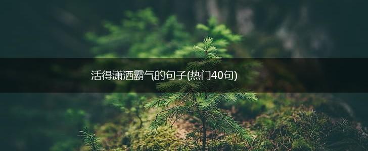 活得潇洒霸气的句子(热门40句),第1张