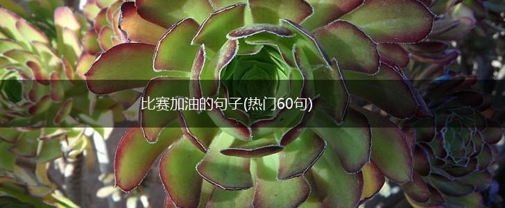 比赛加油的句子(热门60句),第1张
