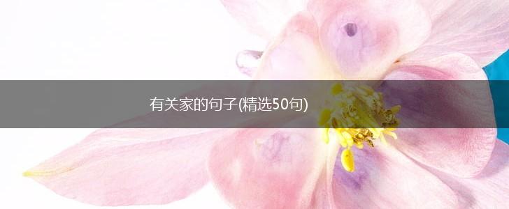 有关家的句子(精选50句),第1张