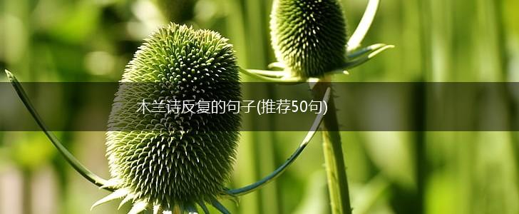 木兰诗反复的句子(推荐50句),第1张