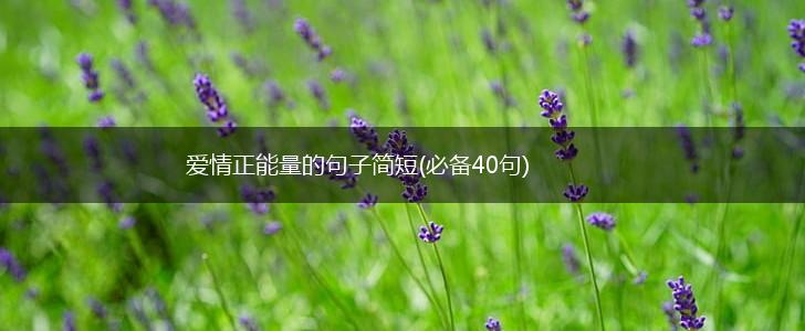 爱情正能量的句子简短(必备40句),第1张
