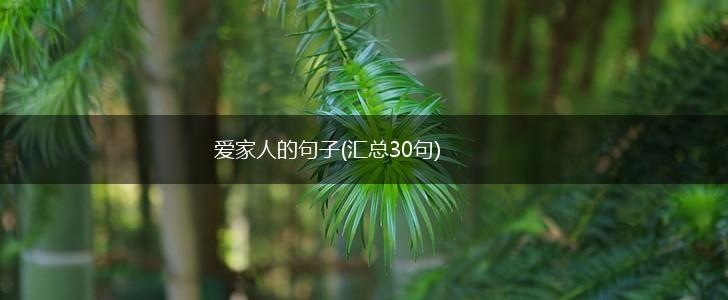 爱家人的句子(汇总30句),第1张