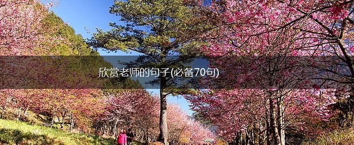 欣赏老师的句子(必备70句),第1张