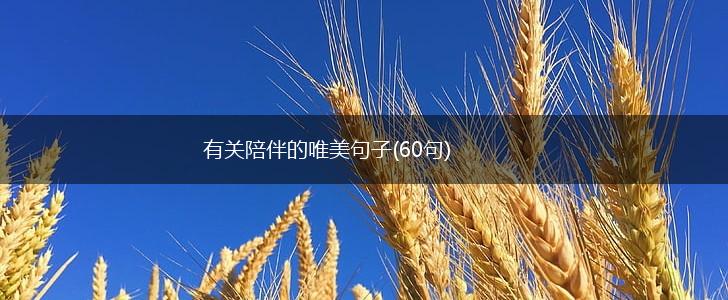 有关陪伴的唯美句子(60句),第1张