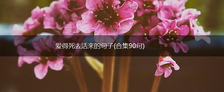 爱得死去活来的句子(合集90句),第1张
