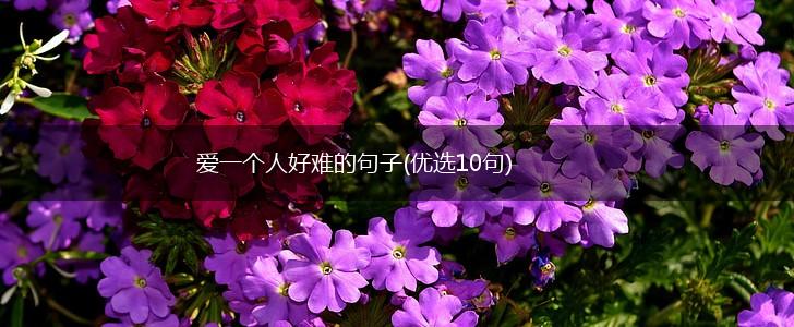 爱一个人好难的句子(优选10句),第1张