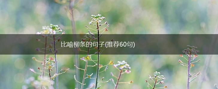 比喻柳条的句子(推荐60句),第1张