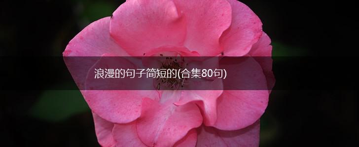 浪漫的句子简短的(合集80句),第1张