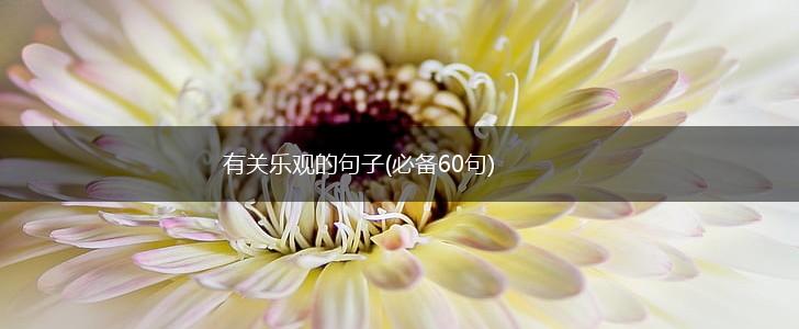 有关乐观的句子(必备60句),第1张