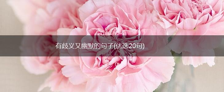 有歧义又幽默的句子(优选20句),第1张