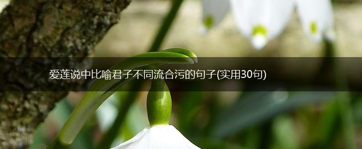 爱莲说中比喻君子不同流合污的句子(实用30句),第1张