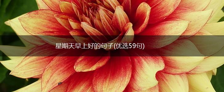 星期天早上好的句子(优选59句),第1张