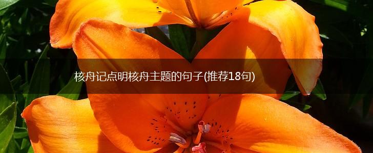 核舟记点明核舟主题的句子(推荐18句),第1张