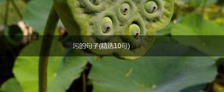 污的句子(精选10句),第1张