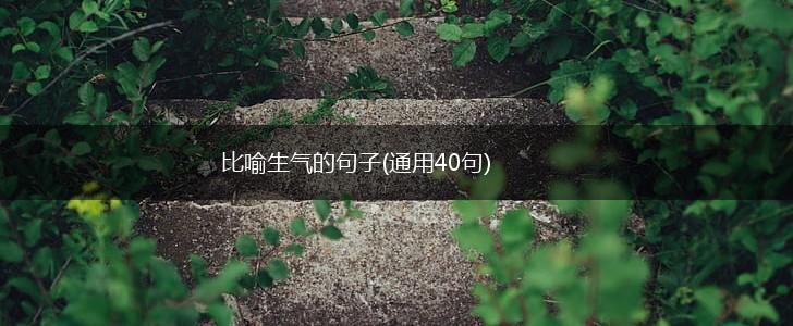 比喻生气的句子(通用40句),第1张