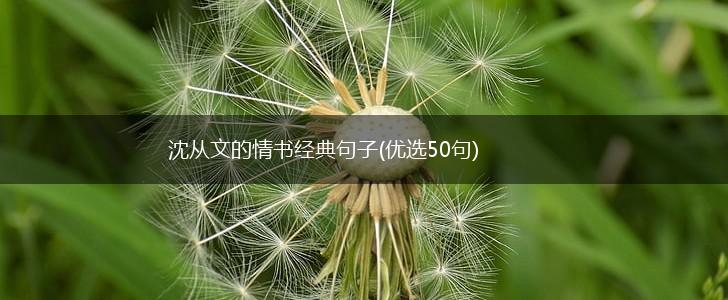 沈从文的情书经典句子(优选50句),第1张