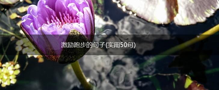 激励跑步的句子(实用50句),第1张
