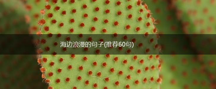海边浪漫的句子(推荐60句),第1张