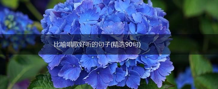 比喻唱歌好听的句子(精选90句),第1张