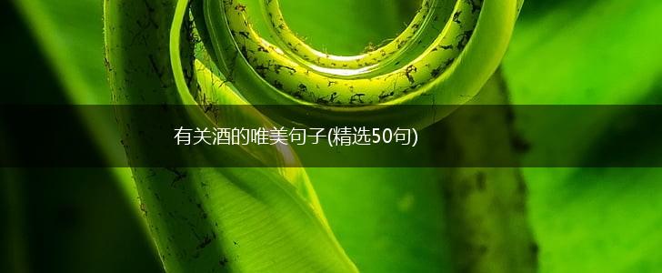 有关酒的唯美句子(精选50句),第1张