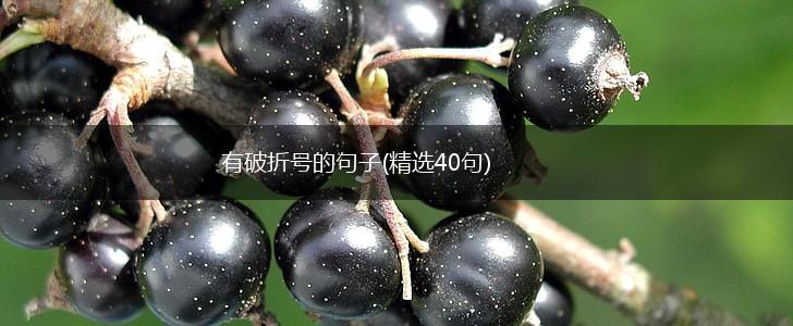 有破折号的句子(精选40句),第1张