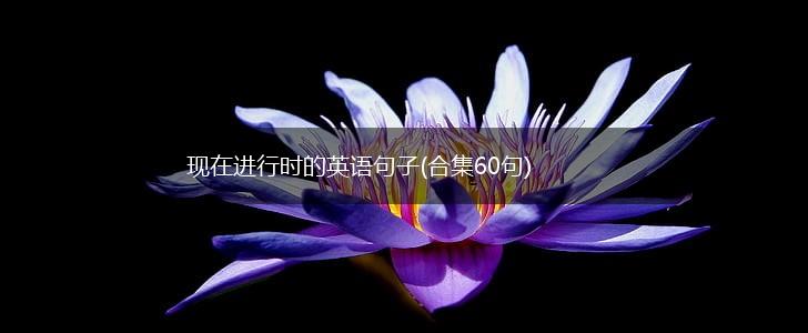 现在进行时的英语句子(合集60句),第1张