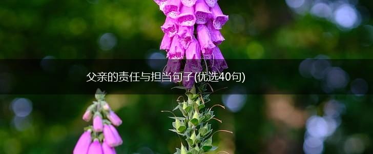 父亲的责任与担当句子(优选40句),第1张