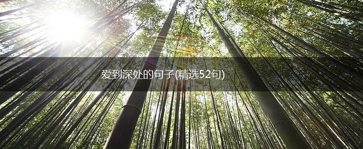 爱到深处的句子(精选52句),第1张 爱到深处的句子(精选52句),第1张