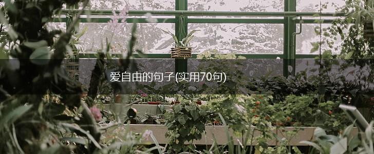 爱自由的句子(实用70句),第1张