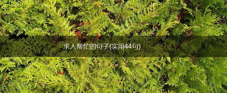 求人帮忙的句子(实用44句),第1张