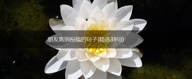 朋友离别祝福的句子(精选39句),第1张