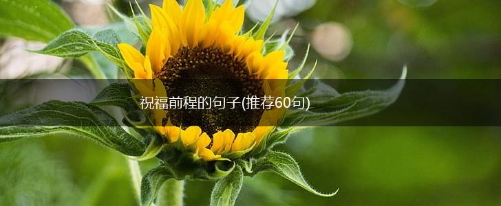 祝福前程的句子(推荐60句),第1张