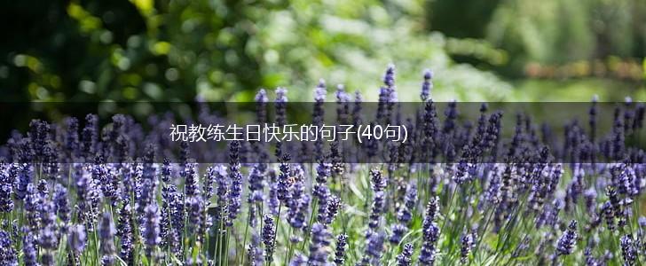 祝教练生日快乐的句子(40句),第1张
