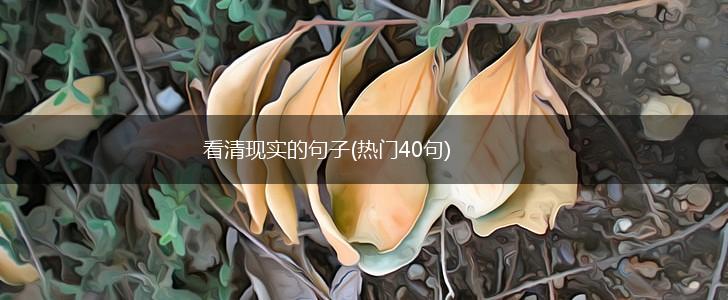 看清现实的句子(热门40句),第1张