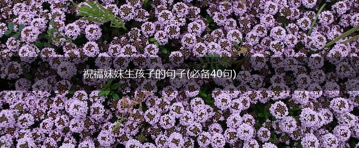 祝福妹妹生孩子的句子(必备40句),第1张