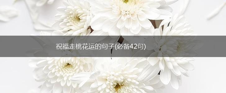 祝福走桃花运的句子(必备42句),第1张