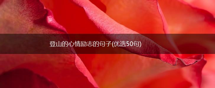 登山的心情励志的句子(优选50句),第1张