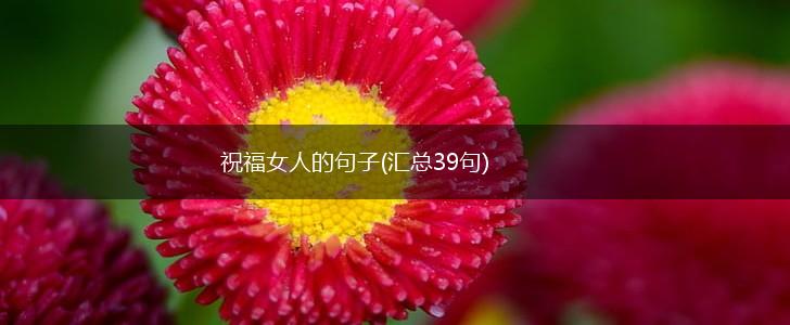 祝福女人的句子(汇总39句),第1张