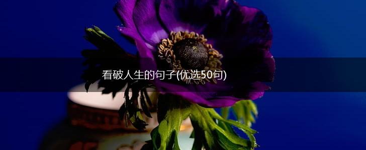 看破人生的句子(优选50句),第1张