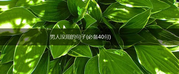 男人没用的句子(必备40句),第1张