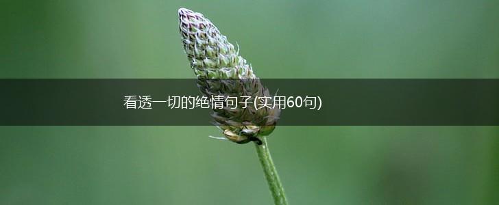 看透一切的绝情句子(实用60句),第1张