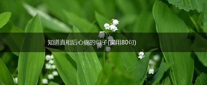 知道真相后心痛的句子(实用80句),第1张